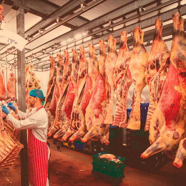 procesos carne para hostelería